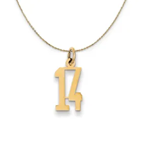 14k Yellow Gold, Alumni Small Elongated Number 14 Necklace