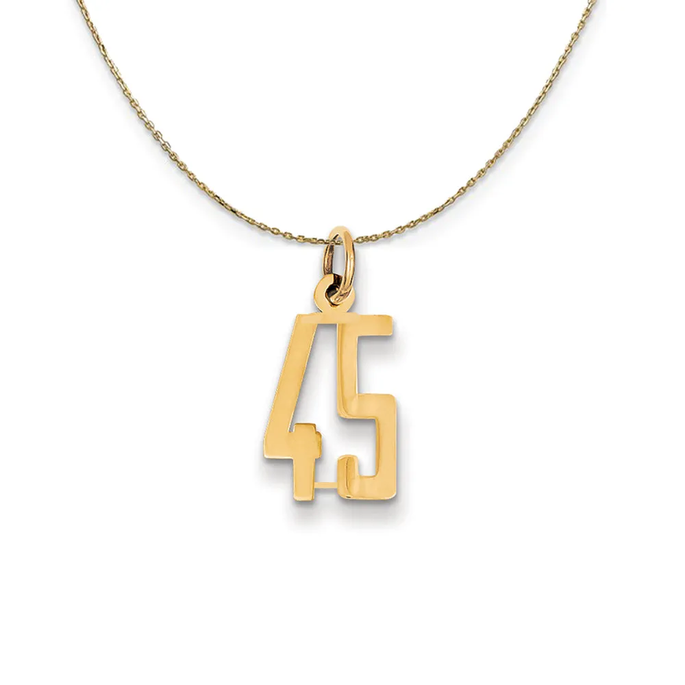 14k Yellow Gold, Alumni Small Elongated Number 45 Necklace