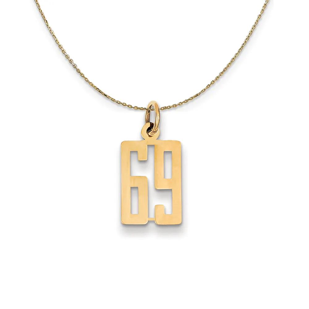 14k Yellow Gold, Alumni Small Elongated Number 69 Necklace