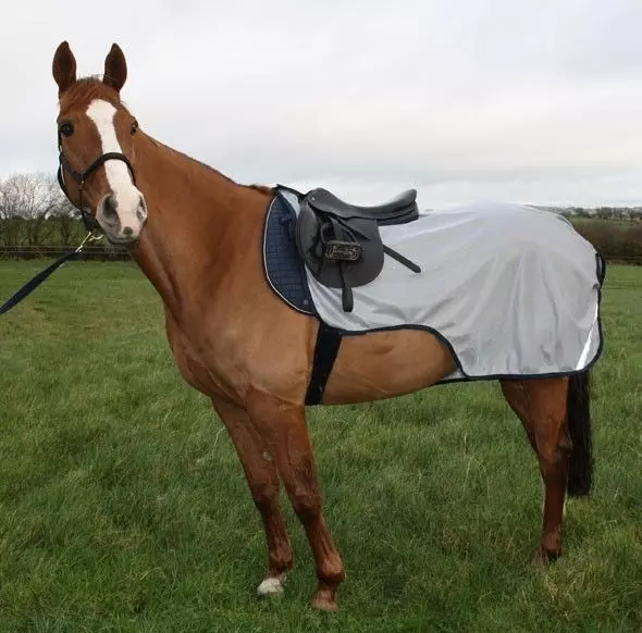 Bucas Buzz Off Riding Rug