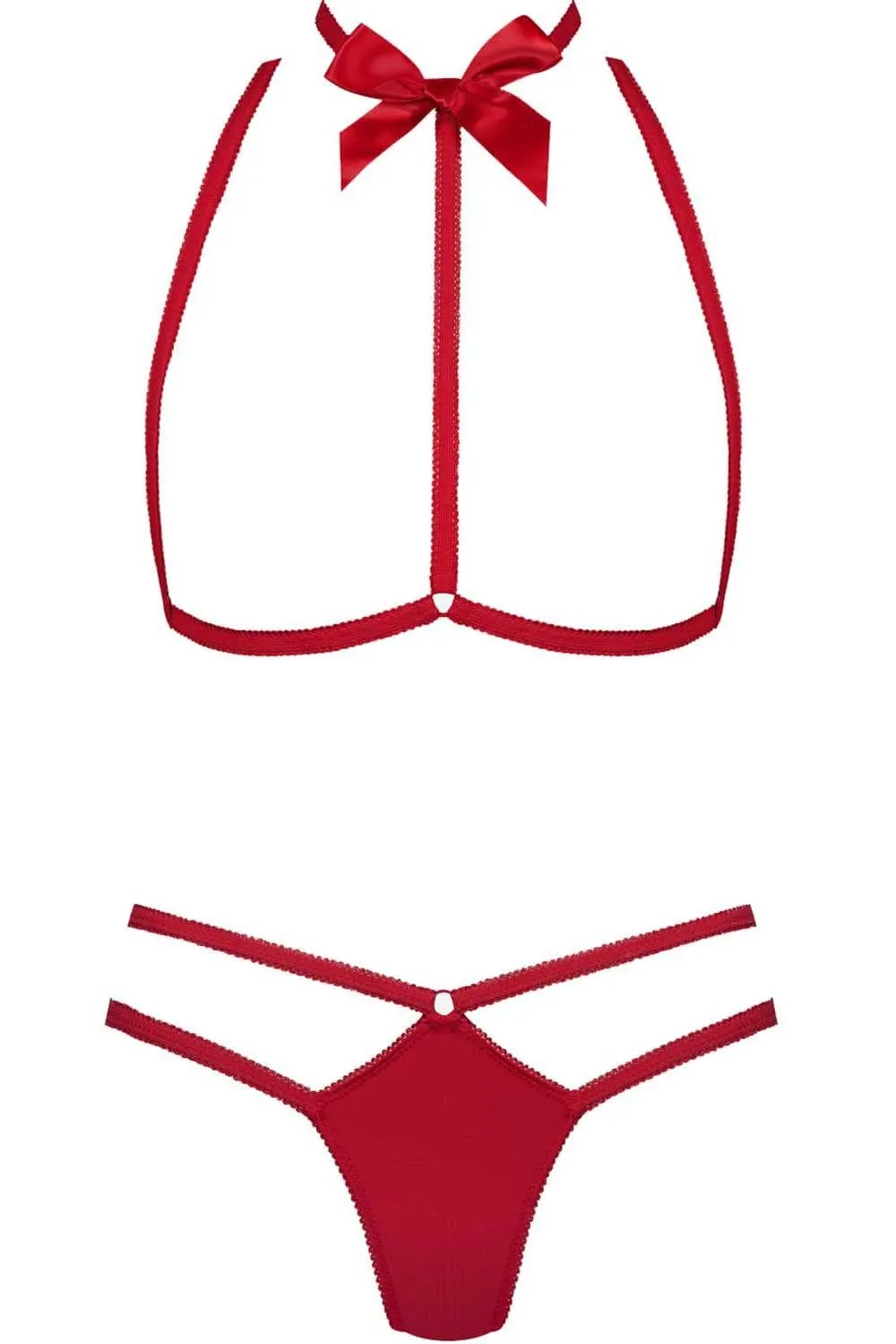 Le Petit Secret Red Harness & Thong