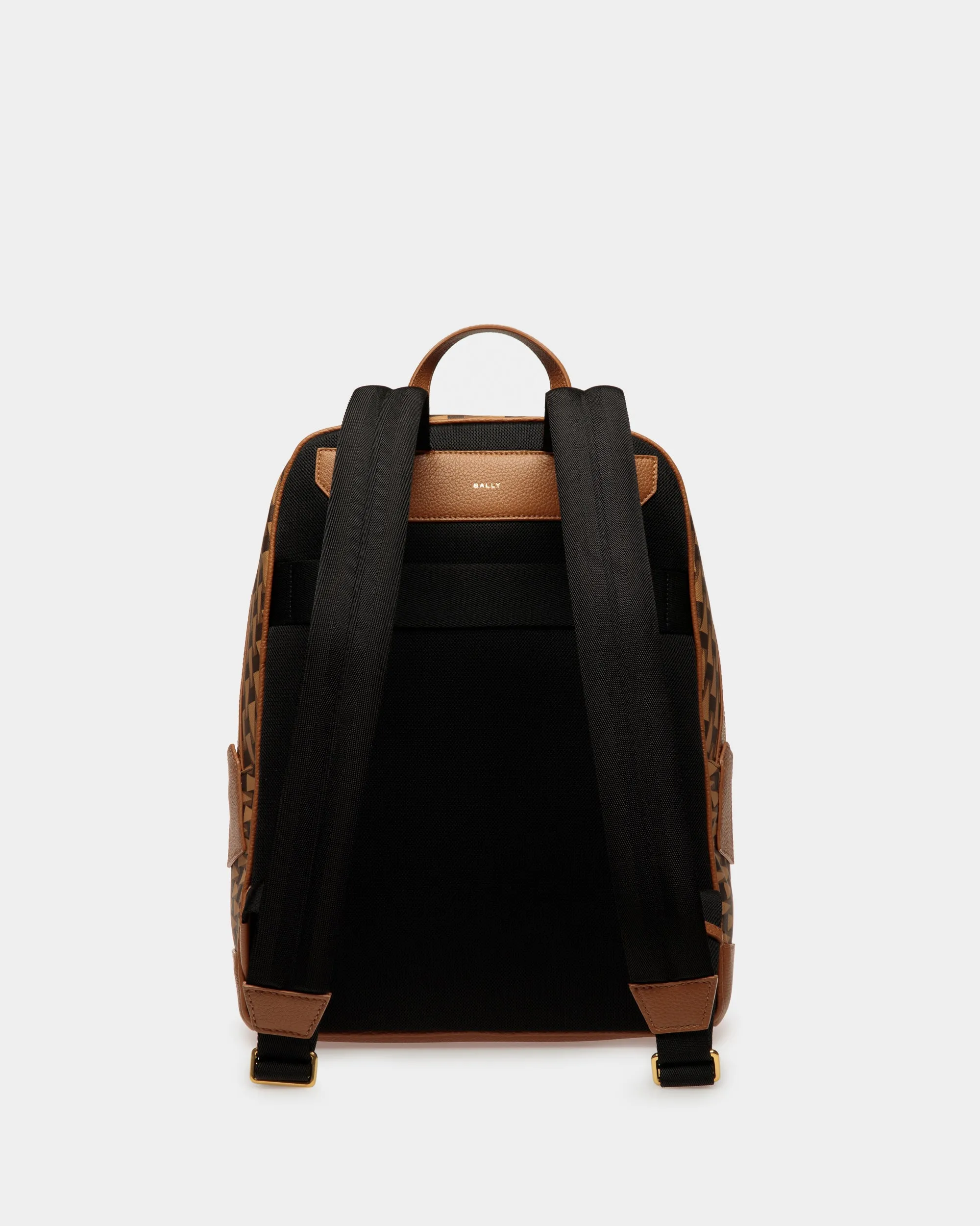 Pennant Backpack In Desert TPU